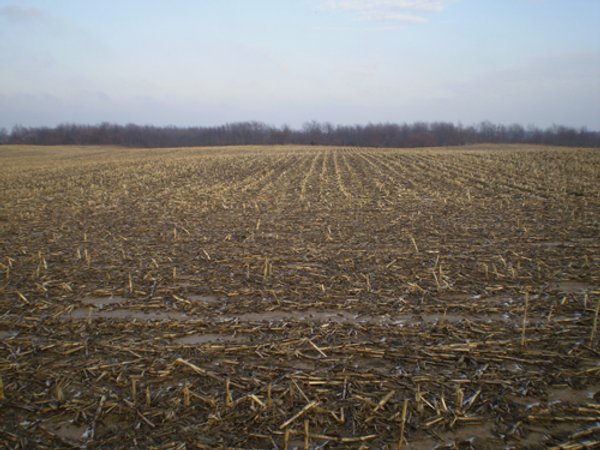 71 Acres Offered in 2 Tracts